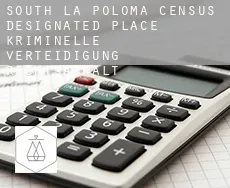 South La Poloma kriminelle verteidigung rechtsanwalt