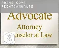 Adams Cove  rechtsanwälte