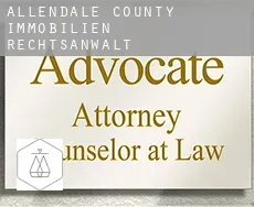 Allendale County  immobilien rechtsanwalt