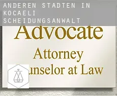 Anderen Städten in Kocaeli Scheidungsanwalt