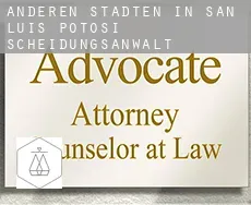 Anderen Städten in San Luis Potosi  Scheidungsanwalt