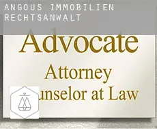 Angous immobilien rechtsanwalt