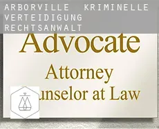 Arborville kriminelle verteidigung rechtsanwalt