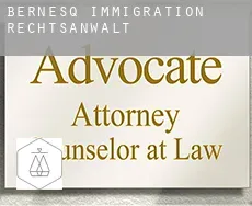 Bernesq  immigration rechtsanwalt