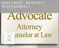 Bowesmont  bankrott rechtsanwalt