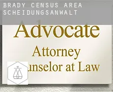 Brady (census area)  Scheidungsanwalt