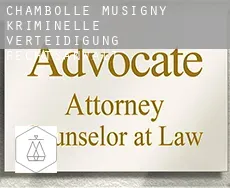 Chambolle-Musigny  kriminelle verteidigung rechtsanwalt