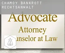 Chamoy bankrott rechtsanwalt