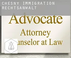 Chesny  immigration rechtsanwalt