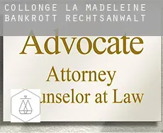 Collonge-la-Madeleine bankrott rechtsanwalt