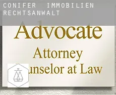 Conifer  immobilien rechtsanwalt