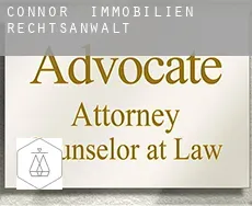 Connor  immobilien rechtsanwalt