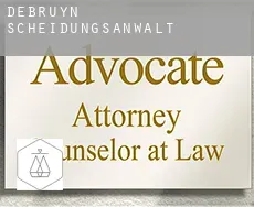 Debruyn  Scheidungsanwalt