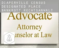 Diaperville  bankrott rechtsanwalt