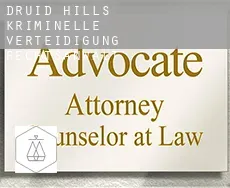 Druid Hills  kriminelle verteidigung rechtsanwalt