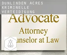Dunlinden Acres  kriminelle verteidigung rechtsanwalt