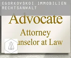 Egorkovskoi  immobilien rechtsanwalt