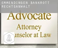 Emmendingen  bankrott rechtsanwalt