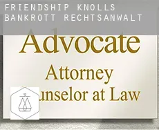 Friendship Knolls  bankrott rechtsanwalt