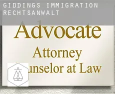Giddings  immigration rechtsanwalt