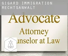 Gigard  immigration rechtsanwalt