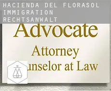Hacienda del Florasol  immigration rechtsanwalt