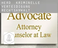 Herd  kriminelle verteidigung rechtsanwalt