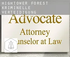 Hightower Forest  kriminelle verteidigung rechtsanwalt