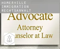 Homerville immigration rechtsanwalt