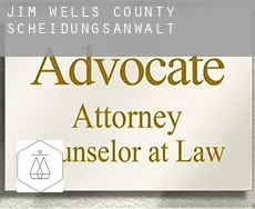 Jim Wells County  Scheidungsanwalt