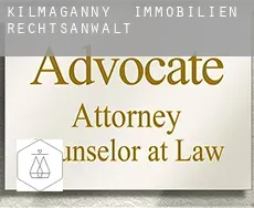 Kilmaganny  immobilien rechtsanwalt