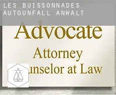 Les Buissonnades  Autounfall Anwalt