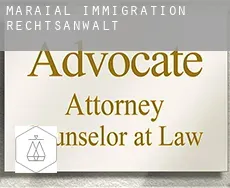 Maraial  immigration rechtsanwalt