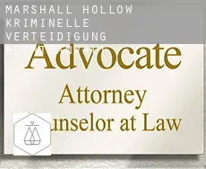 Marshall Hollow  kriminelle verteidigung rechtsanwalt