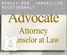 Monkey Run  immobilien rechtsanwalt