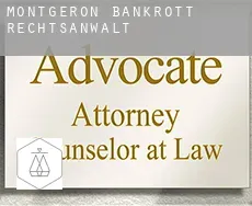 Montgeron  bankrott rechtsanwalt