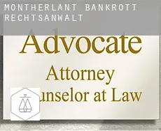 Montherlant  bankrott rechtsanwalt