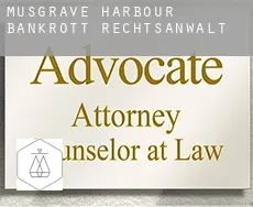Musgrave Harbour  bankrott rechtsanwalt
