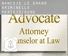 Nançois-le-Grand  kriminelle verteidigung rechtsanwalt