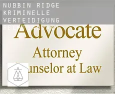 Nubbin Ridge  kriminelle verteidigung rechtsanwalt