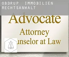 Obdrup immobilien rechtsanwalt