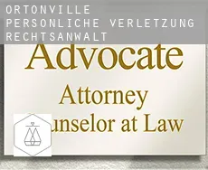 Ortonville  persönliche verletzung rechtsanwalt