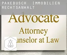 Pakebusch  immobilien rechtsanwalt