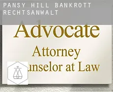 Pansy Hill  bankrott rechtsanwalt