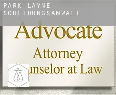 Park Layne  Scheidungsanwalt