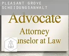 Pleasant Grove  Scheidungsanwalt