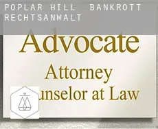 Poplar Hill bankrott rechtsanwalt