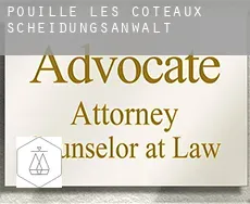 Pouillé-les-Côteaux Scheidungsanwalt
