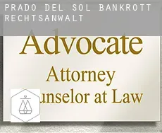 Prado del Sol  bankrott rechtsanwalt