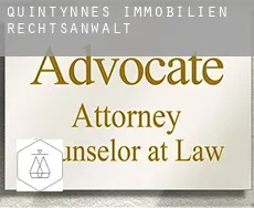 Quintynnes  immobilien rechtsanwalt